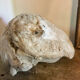 Plaster head