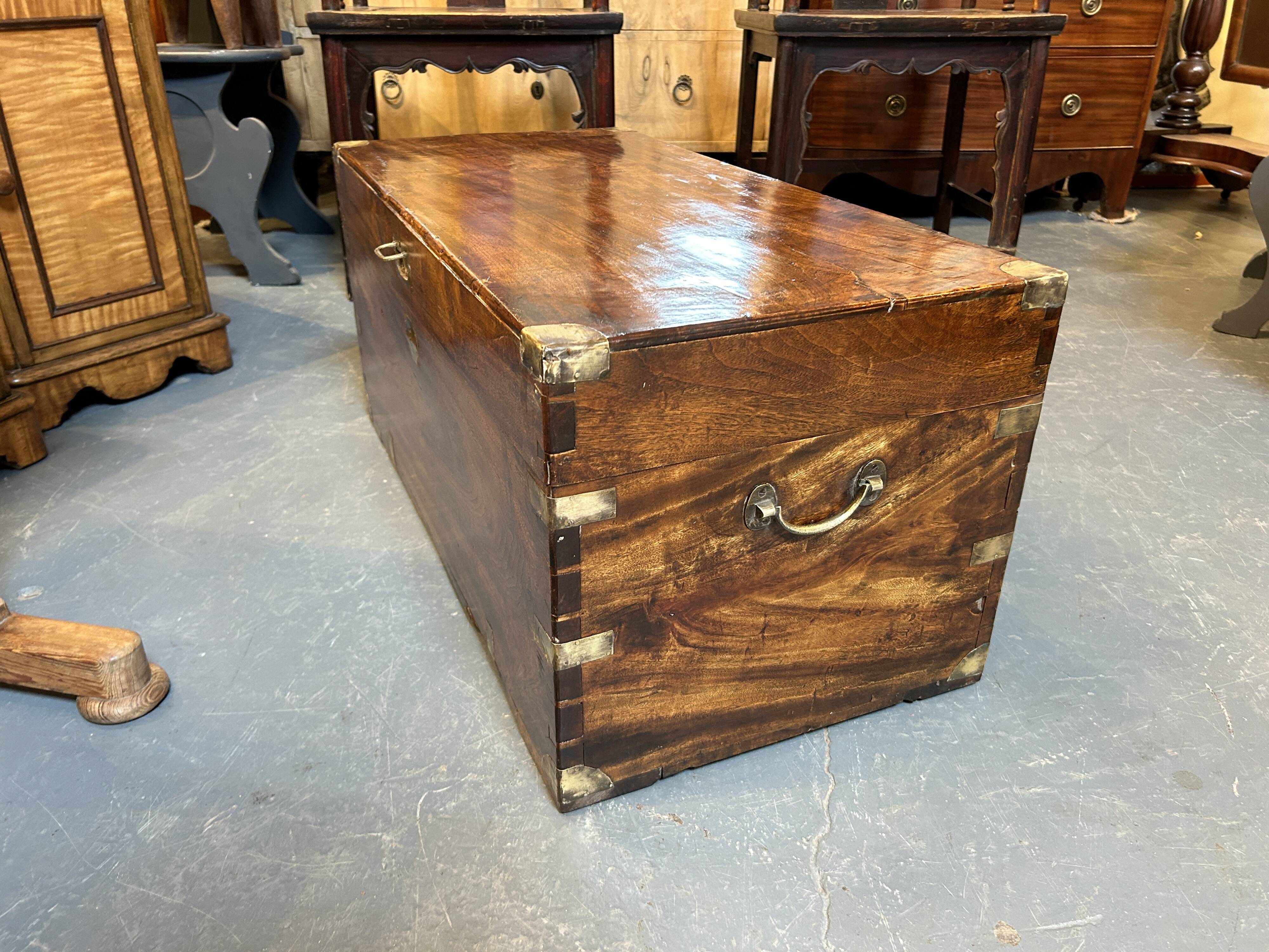 Campaign camphor trunk chest