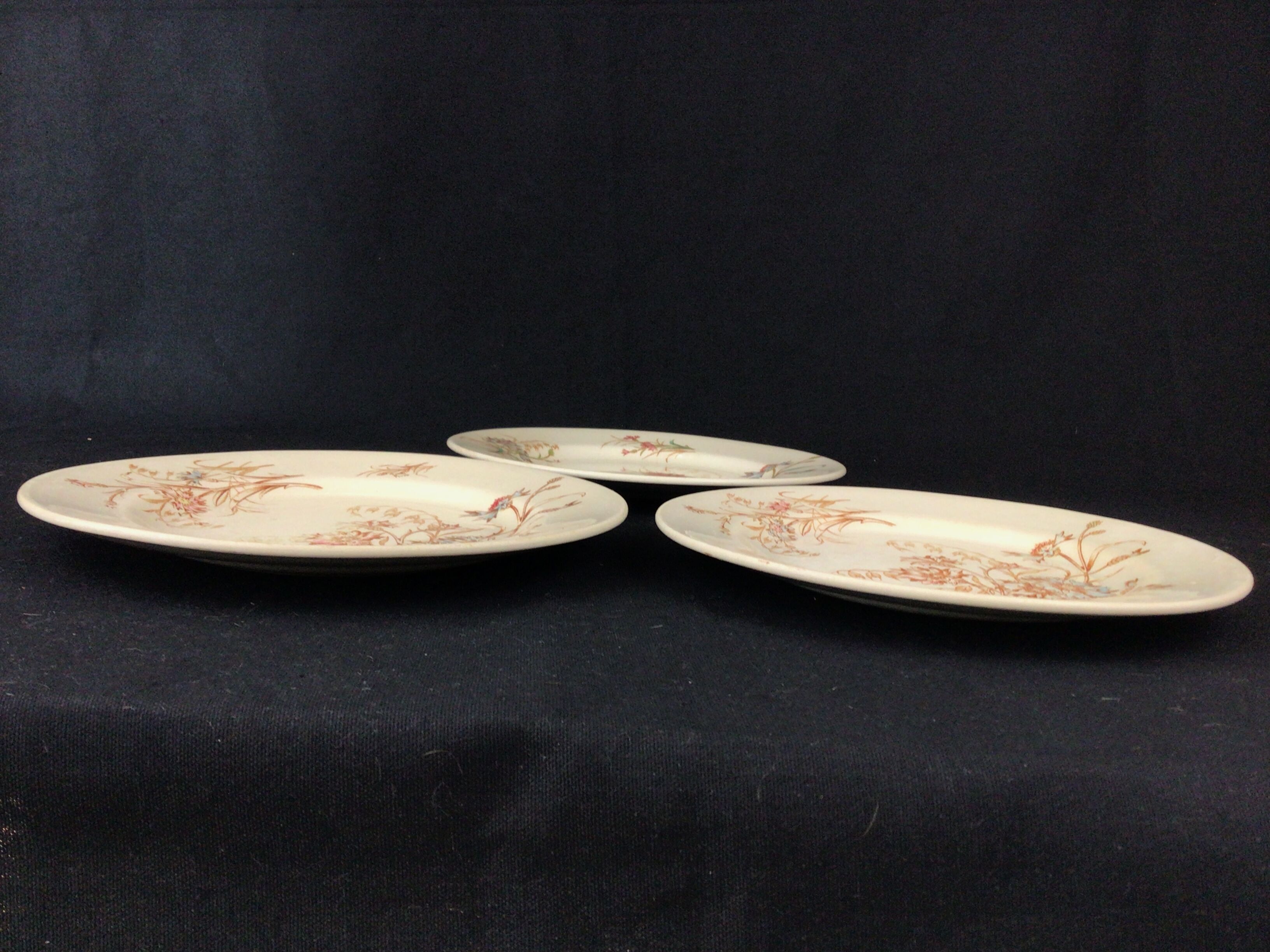 3 plates in Luneville earthenware model Bleuet