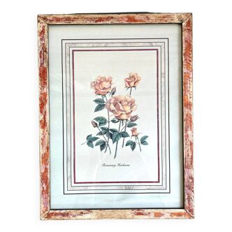 Botanical board roses under frame