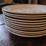 11 dinner plates decorated with stylized roses. 1950s. 11 dinner plates