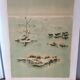 Camargue Landscape Illustration
