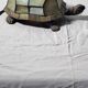 Turtle lamp