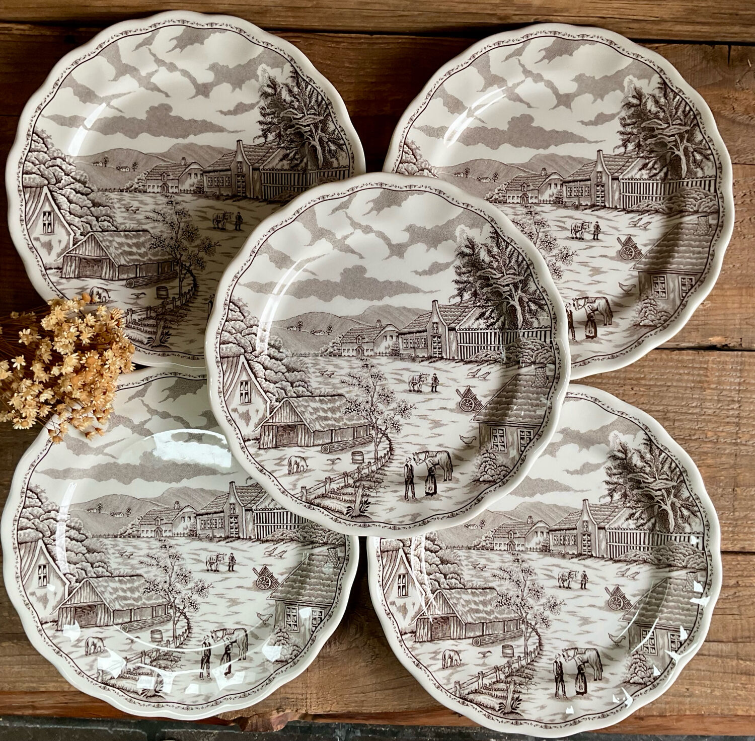 5 plates N Fontabesso Italy