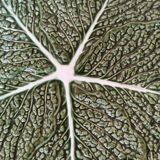 Soup-tureen cabbage ceramic and flat slip