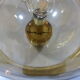 Peill & Putzler glass table lamp 1960’s