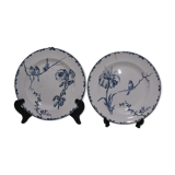 2 plates