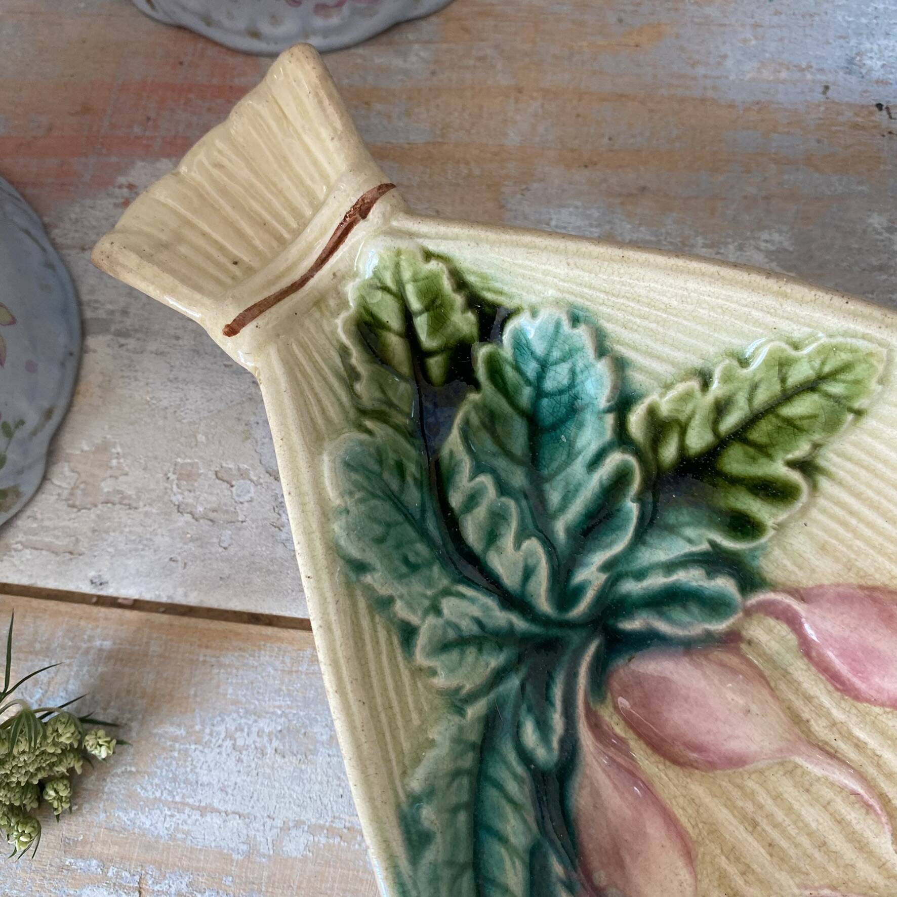 Ravier in slip clay salins, radish