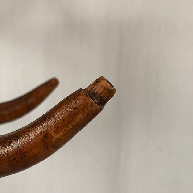 Parrot coat rack in bentwood