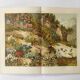 Lithographie ancienne 1909 - Flore alpine - gravure nature montagne vintage