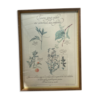 Botanical plank "Tisane to help children sleep"