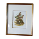 Birds - collection Hepatior N ° 38