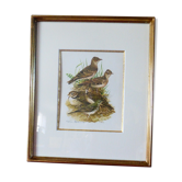 Birds - collection Hepatior N ° 38