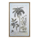 Printed in 1818, coconut tree, walnut and fennel. By Saint-Pierre.