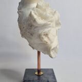 Old white coral "méandrine" on marble base, 25 cm