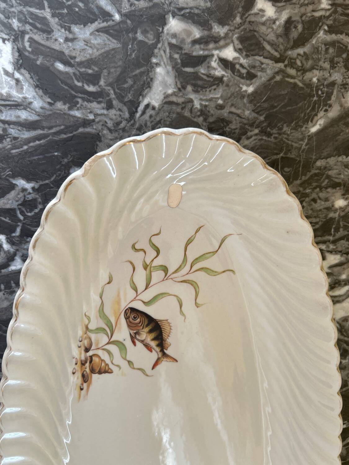 Fish dish Luneville Badonviller