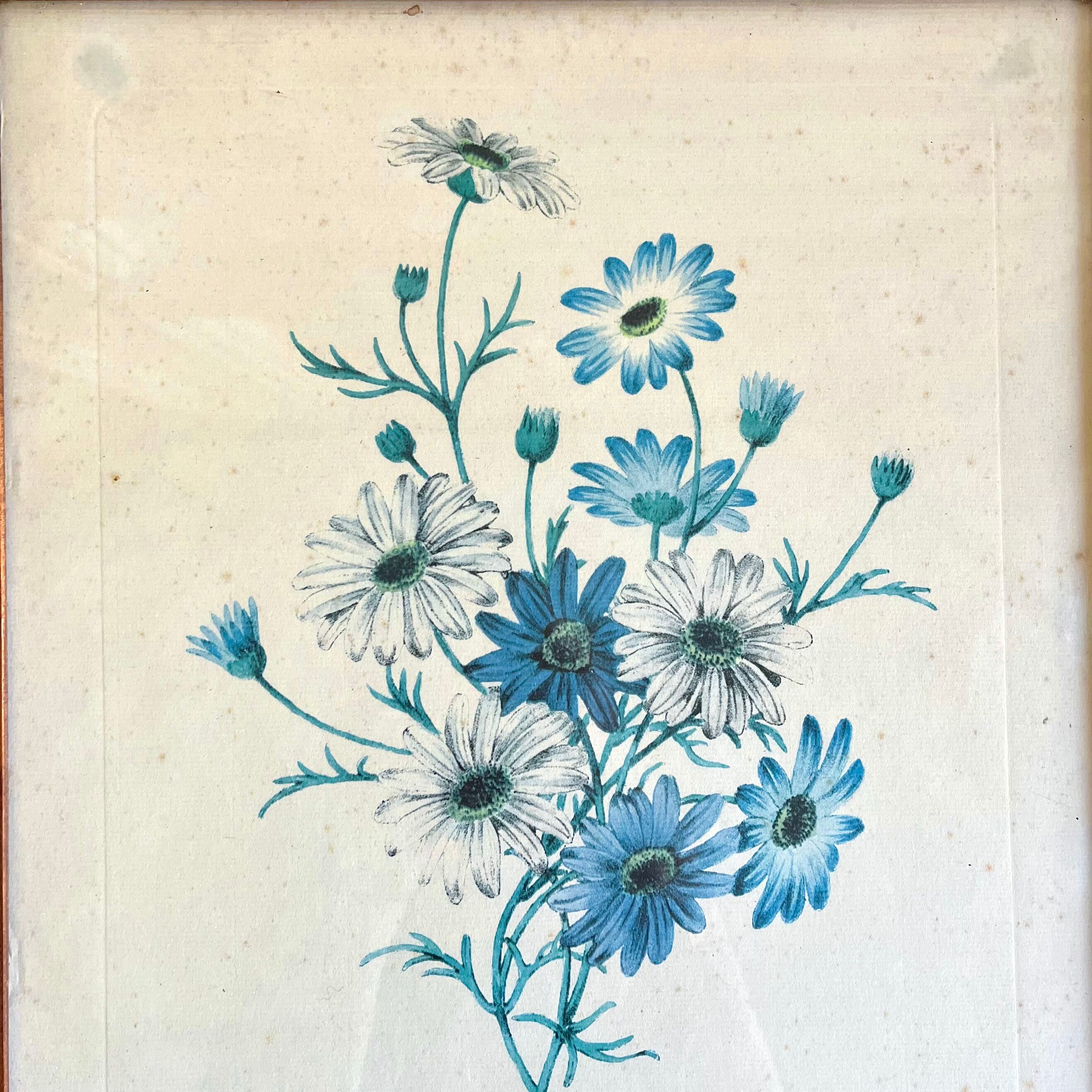 Vintage botanical board frame with blue flowers