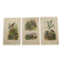 3 Antique Engravings from 1839 - Set of 3 Hand-Colored Plates