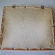 Ancient large butterfly of Formosa and cocoon chrysalis deco cabinet of curiosity entomology