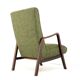 Knicos Armchair in Wengé with Green Upholstery | very rare dutch design