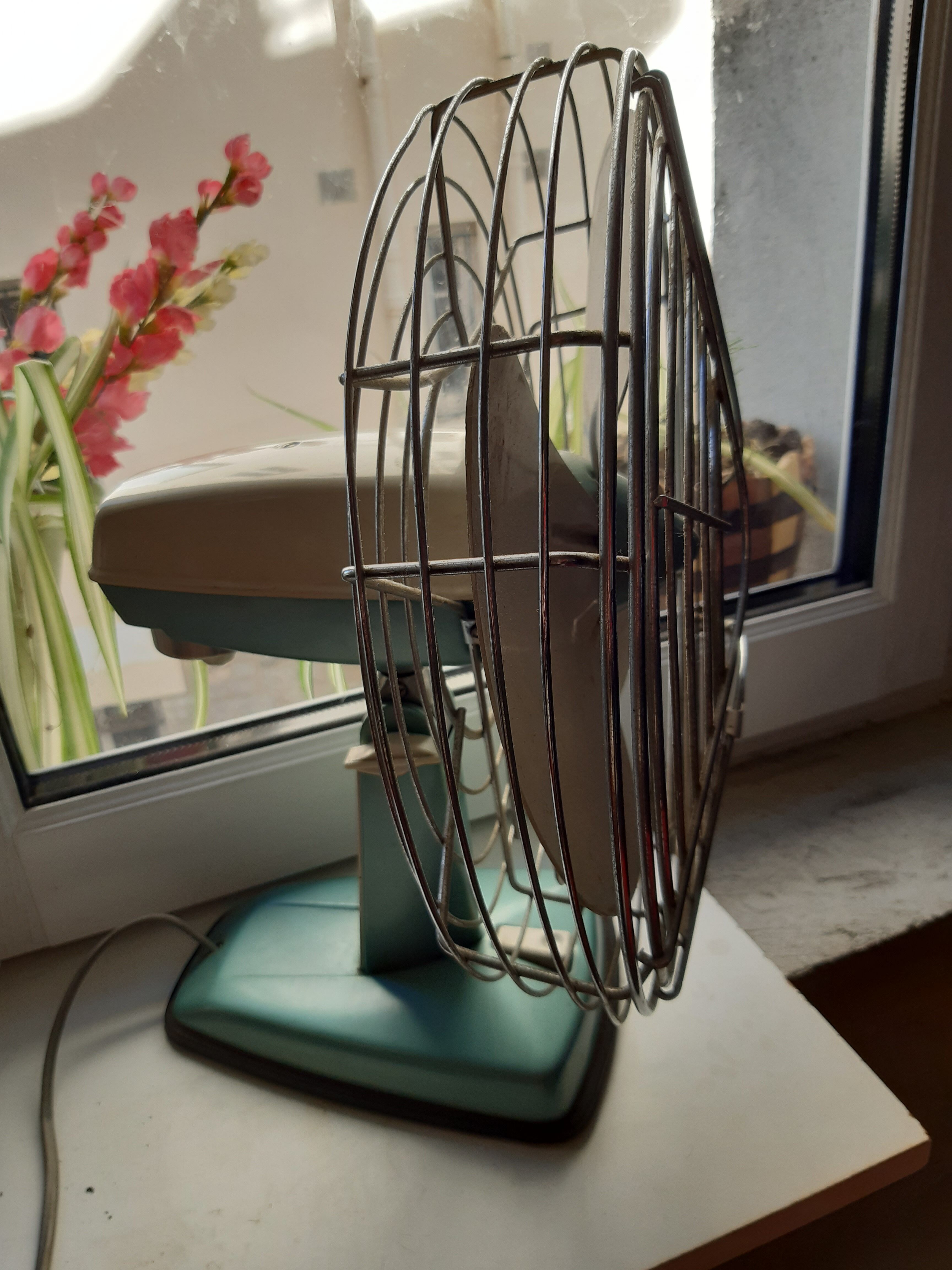 Fan indola