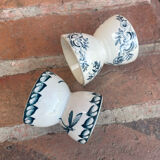 Cockroaches diabolo Terre de Fer