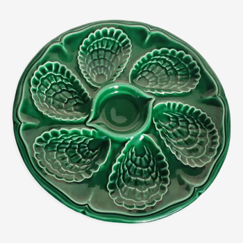 Plate with oysters and shells in bottle green slip
