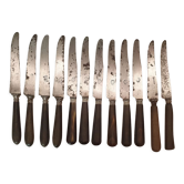 12 antique horn handle knives