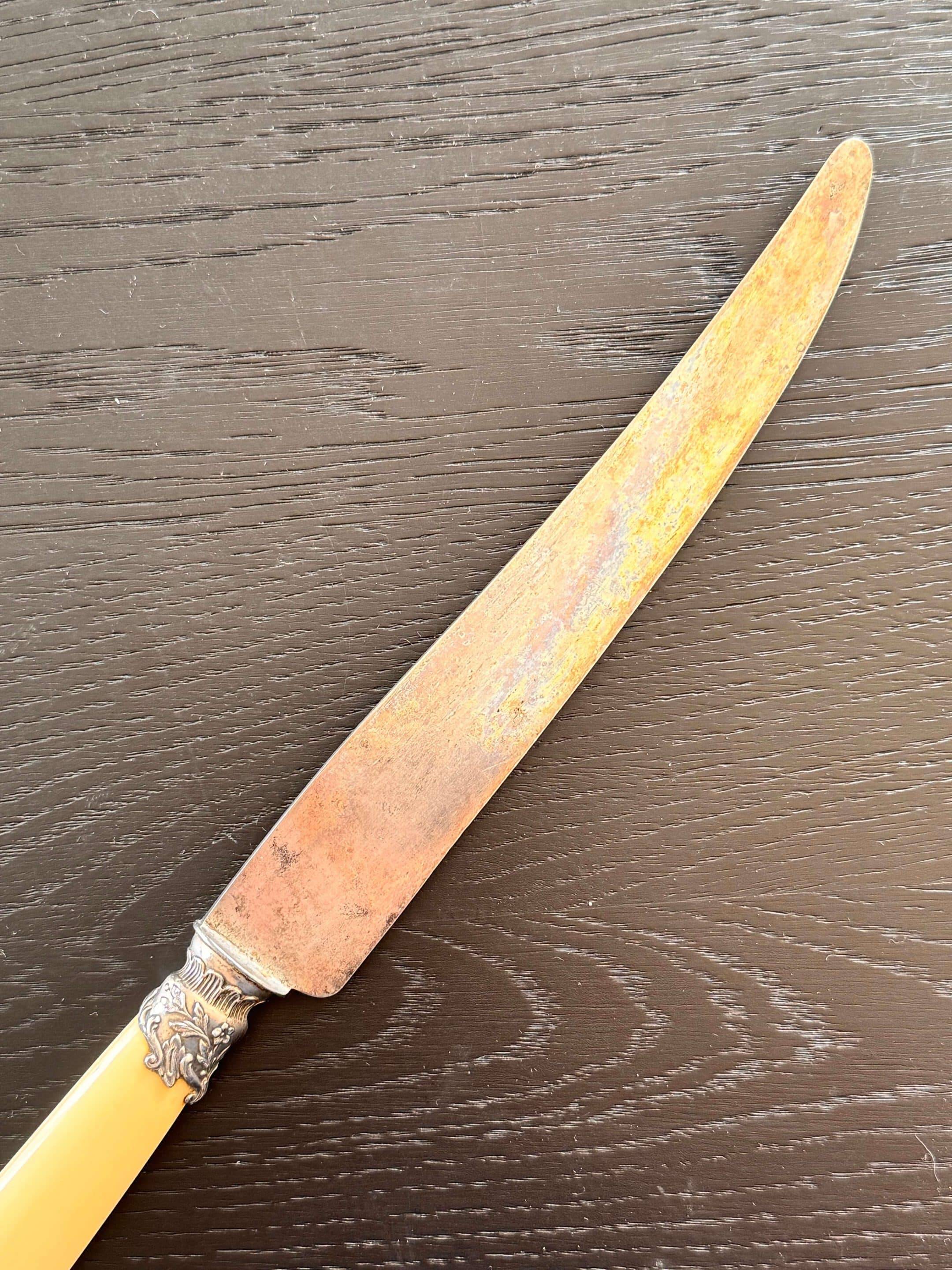 12 Robert Linzeler knives and leg of lamb set for Jules Piault Paris