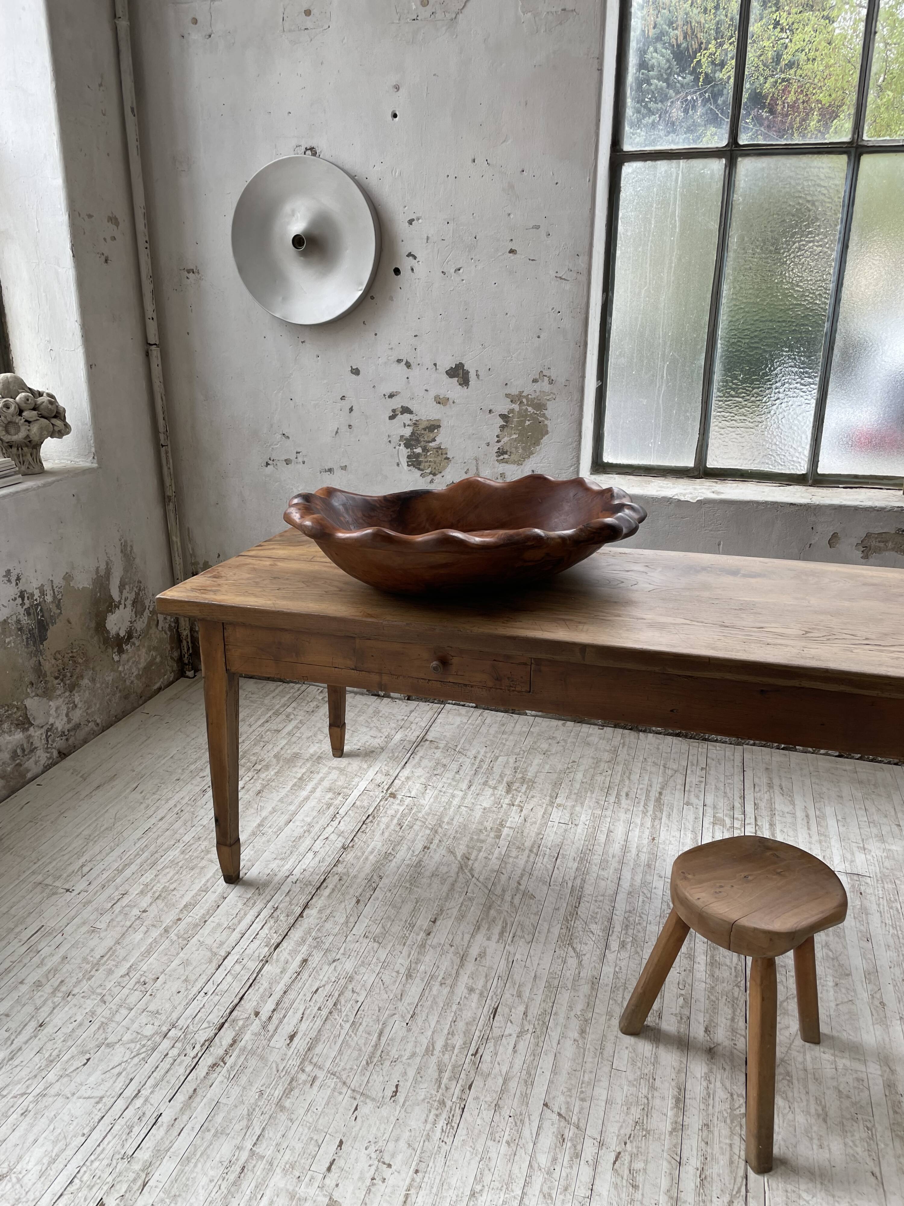 XL thuja root wooden dish