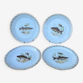 Lot de 4 assiettes plates porcelaine  signée