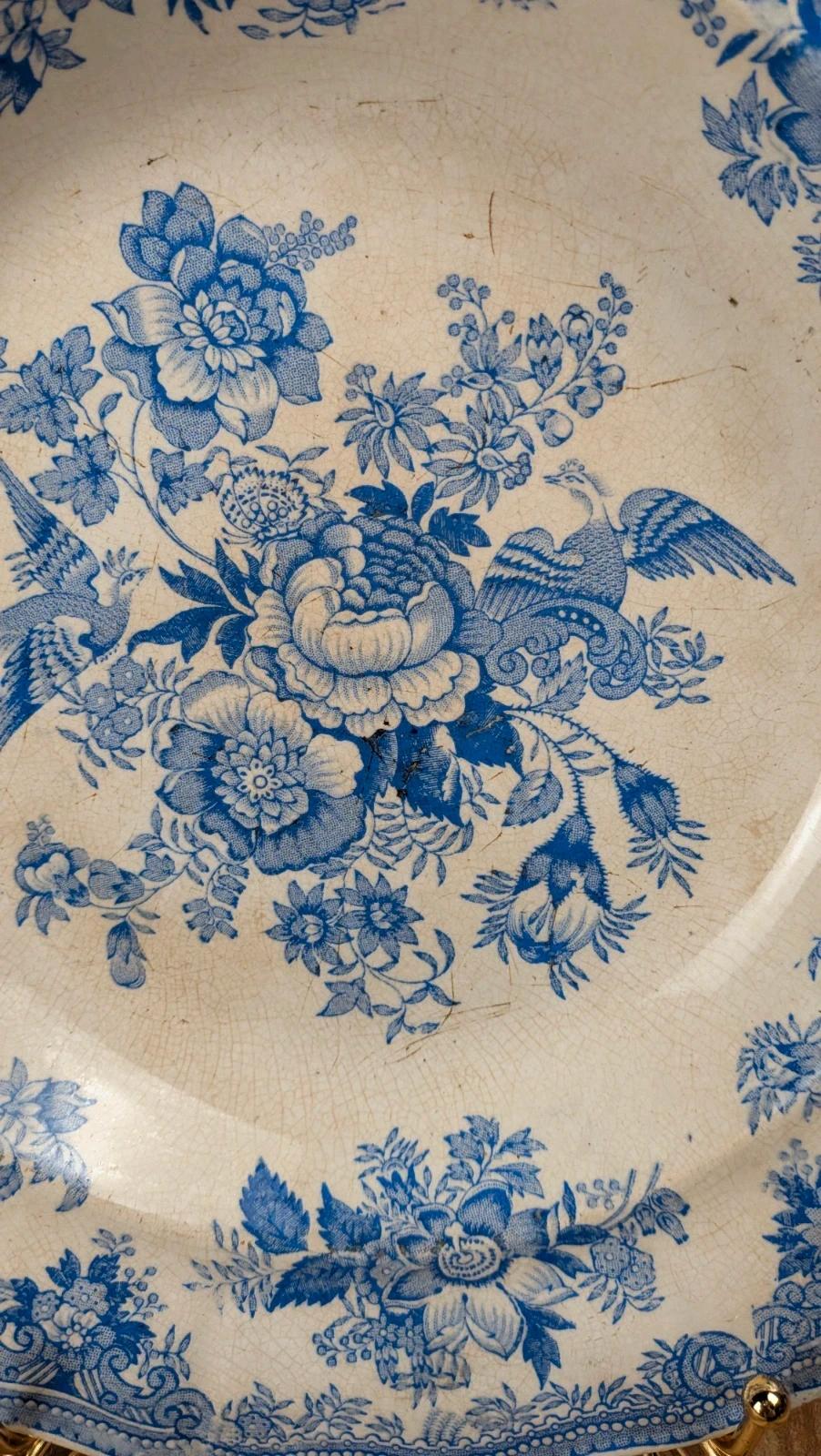 Old English plate – "Asiatic Pheasants" pattern