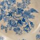 Old English plate – "Asiatic Pheasants" pattern