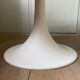 Tulip table