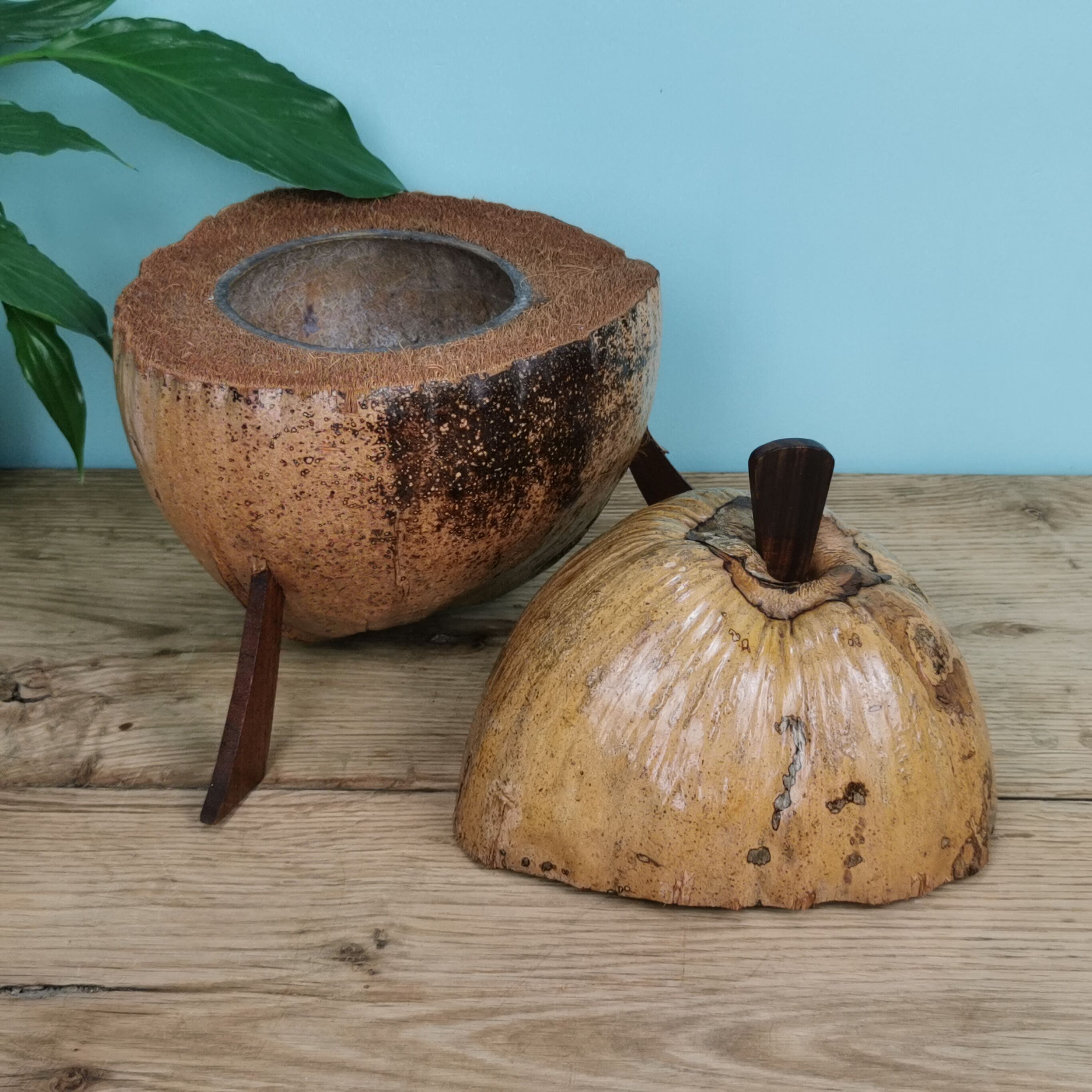 "Coconut" ice bucket