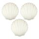 Set of 3 Large Opaline Glass Shell-Shaped Wall Lights from Limburg, 1970s