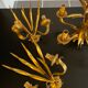 Chandelier and 2 sconces of vintage wheat gold leaf
