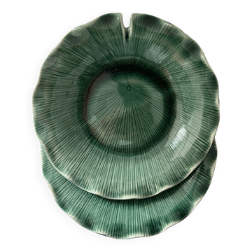 Lotus plate pair