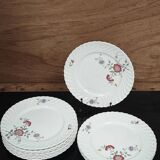 Set of 11 flat plates KG Lunéville Service Fleurs des Indes