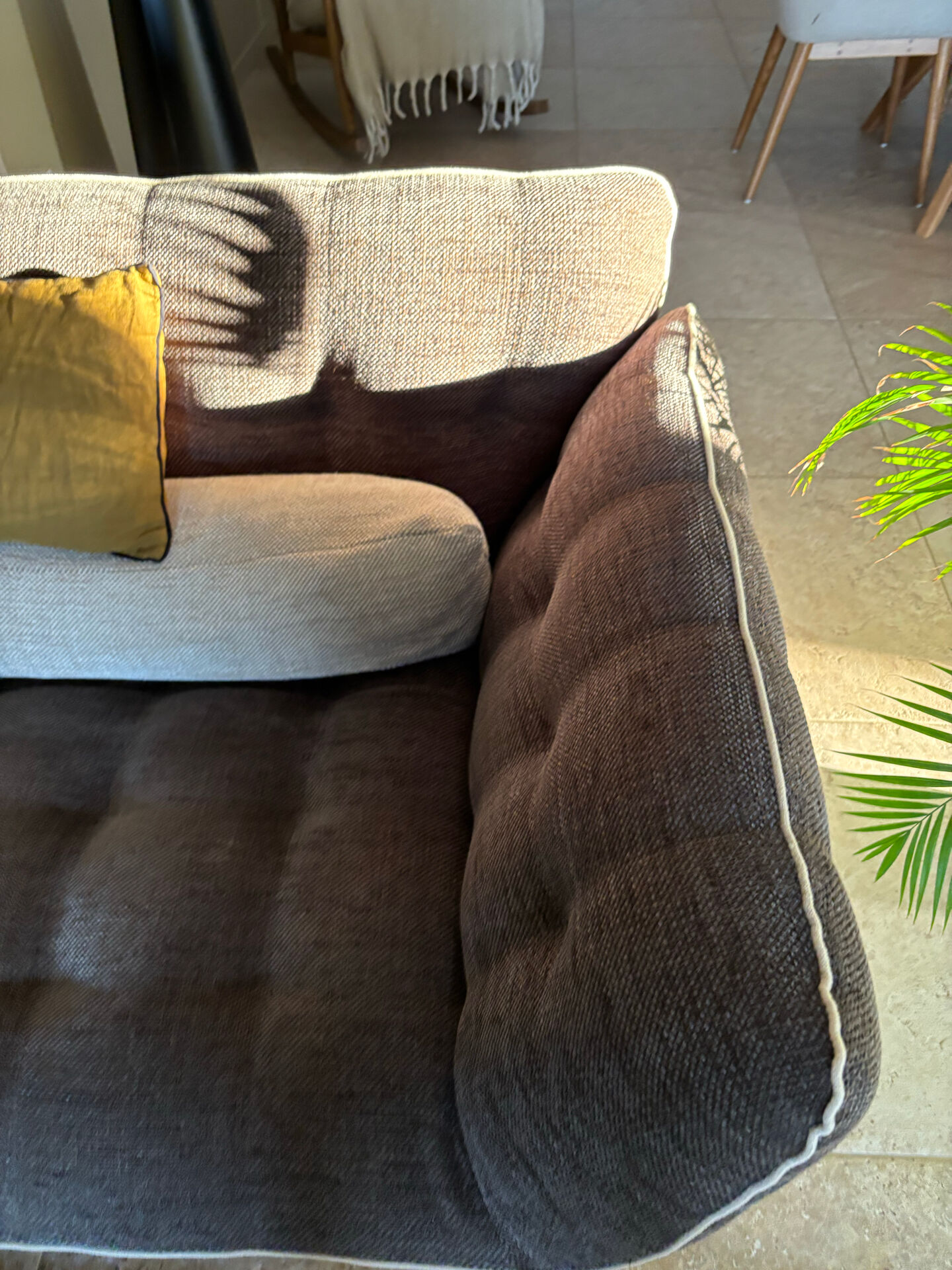 Roche-Bobois sofa