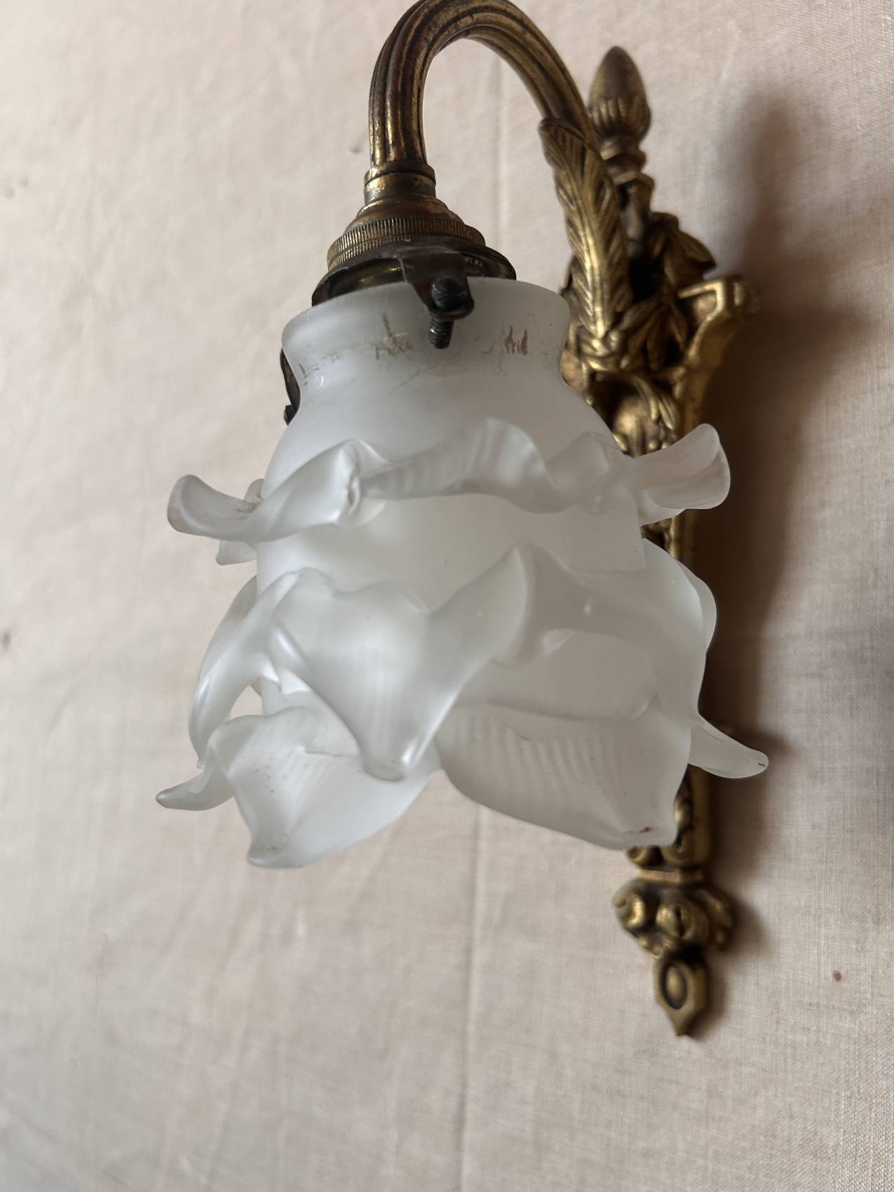 Pair of antique wall sconces in gilded bronze with glass tulips – Louis XVI style circa 1900 – superb