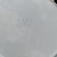 5 white oyster plates, St Amand faiencerie - vintage