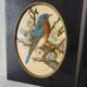 Paire de gravures encadrées oiseaux vintage