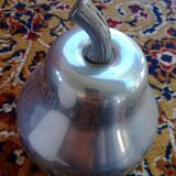 Pear ice bucket