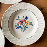 Plates digoin