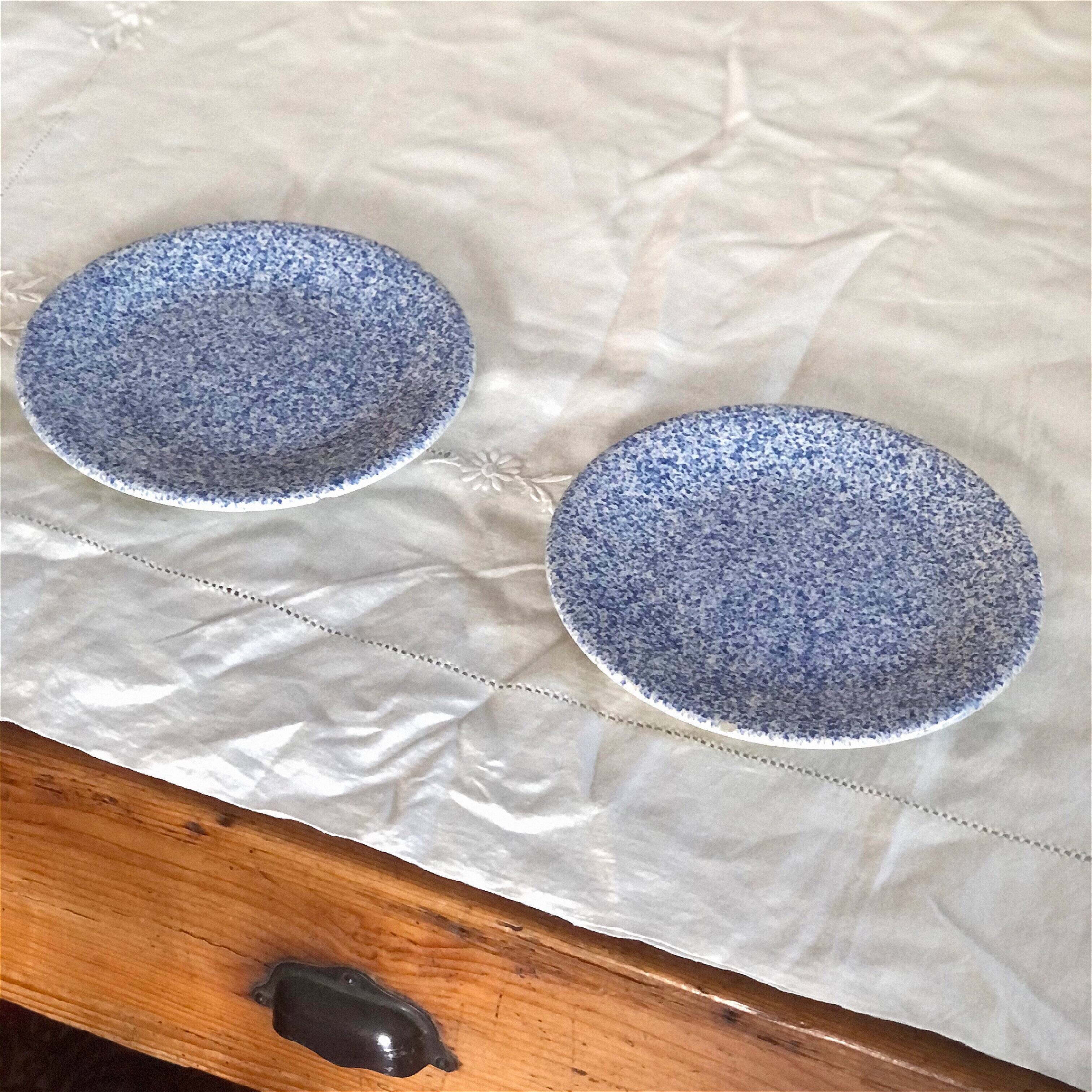Two blue speckled plates