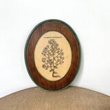 Herbarium botanical medallion plaque