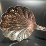 Sprinkling spoon