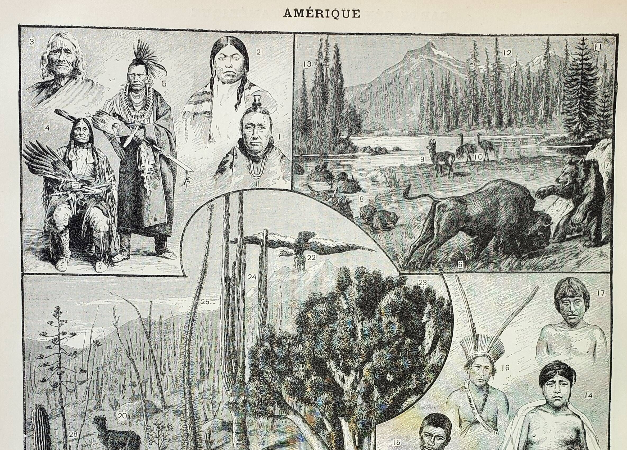 Old engraving 1898, America, tribe, fauna and flora • Original and vintage lithograph