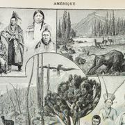 Old engraving 1898, America, tribe, fauna and flora • Original and vintage lithograph